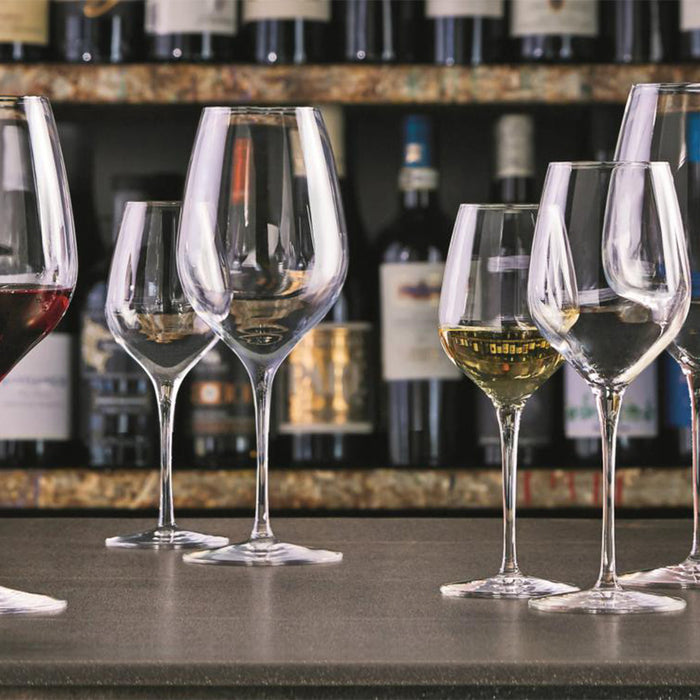 Come scegliere i calici da vino: i nostri consigli